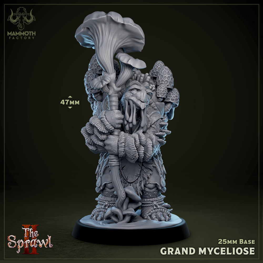 Grand Myceliose (Spore Tortle) Myconid