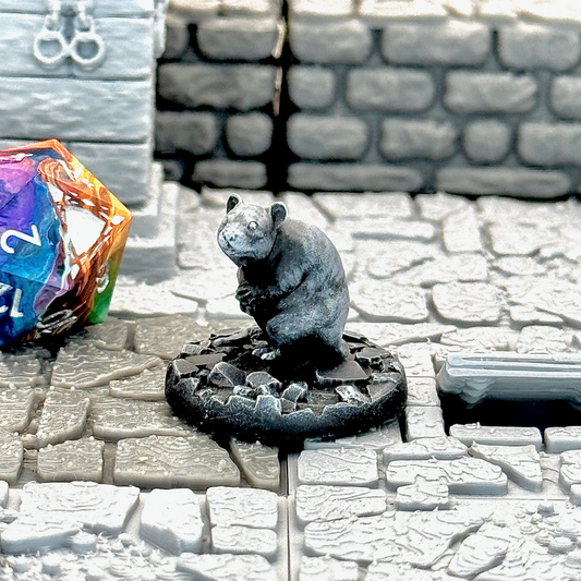 Giant Rat