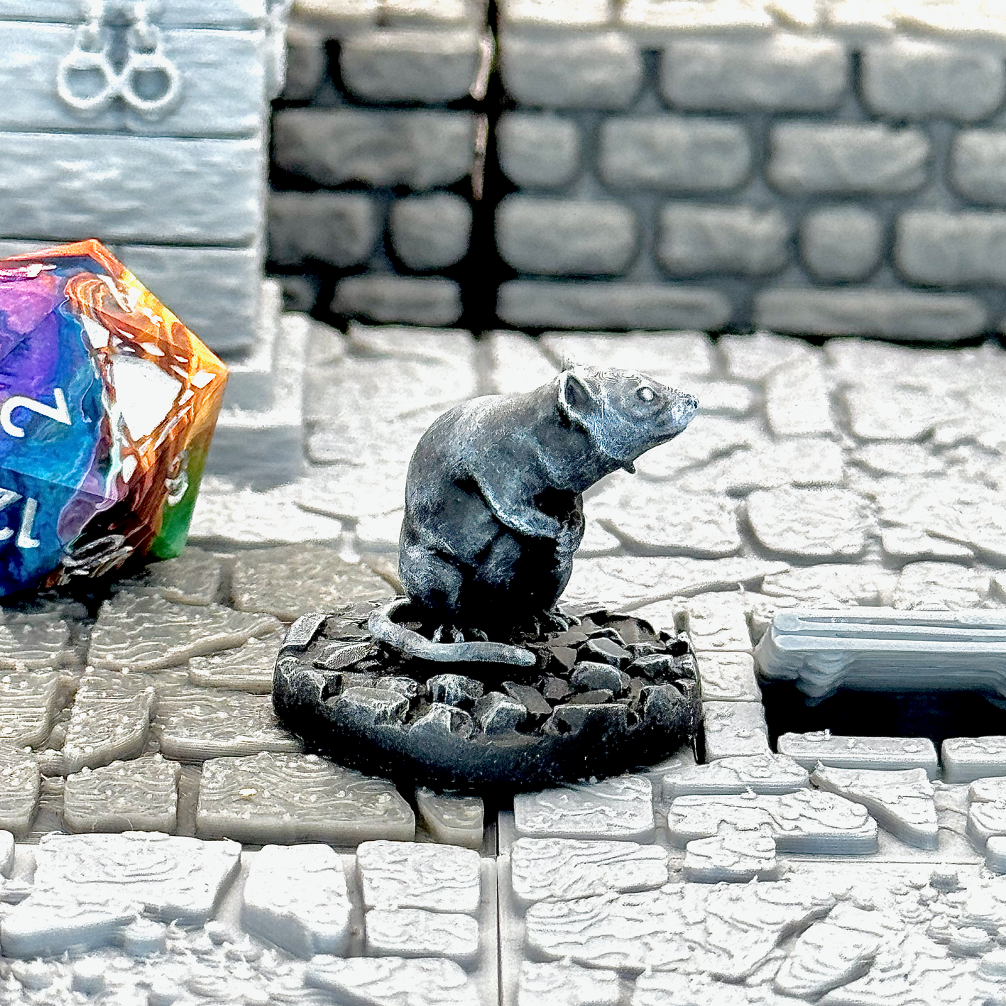 Giant Rat