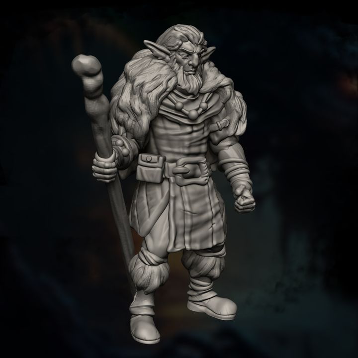Firbolg Druid