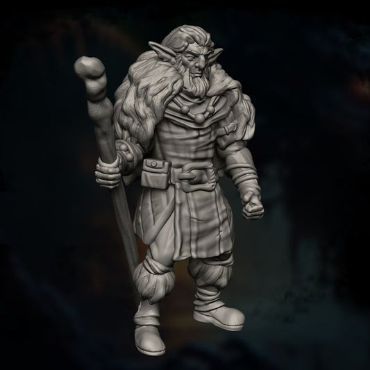 Firbolg Druid