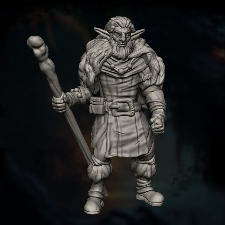 Firbolg Druid