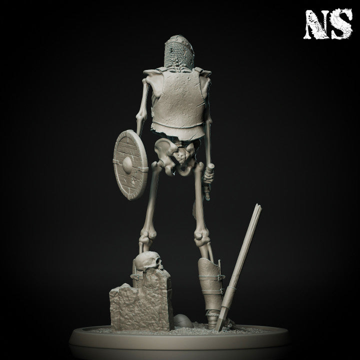 BUNDLE! Skeleton Warriors