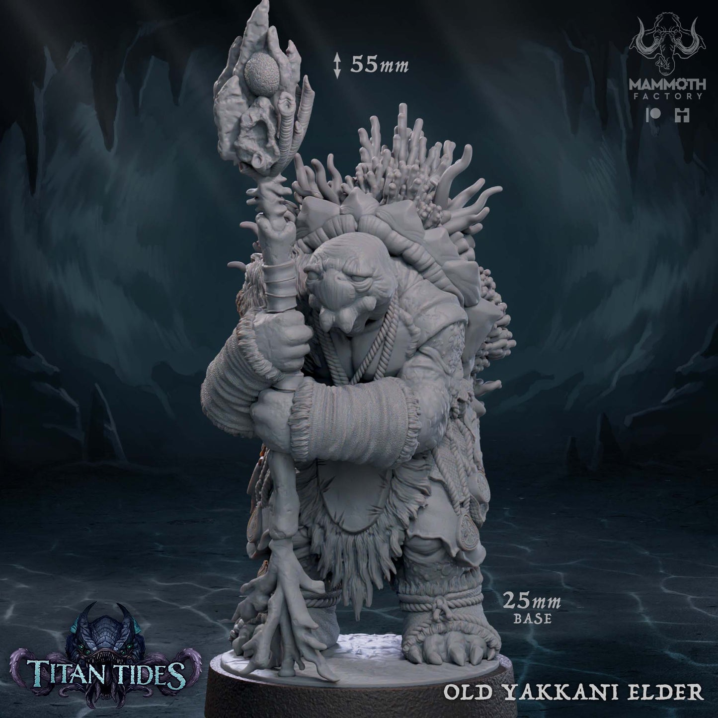 Old Yakkani Elder (Tortle)