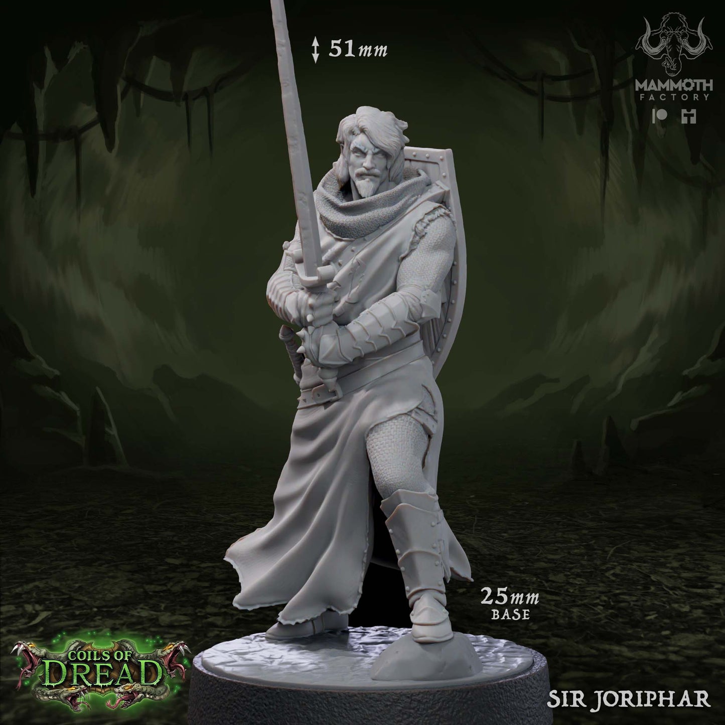 Sir Joriphar - Male Paladin Fighter Cleric