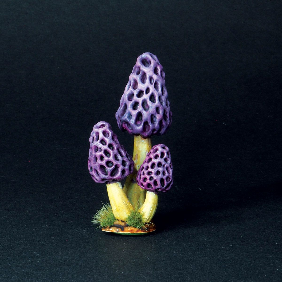 Morel