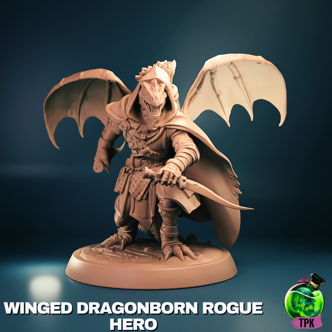Winged Dragonborn Rogue Hero