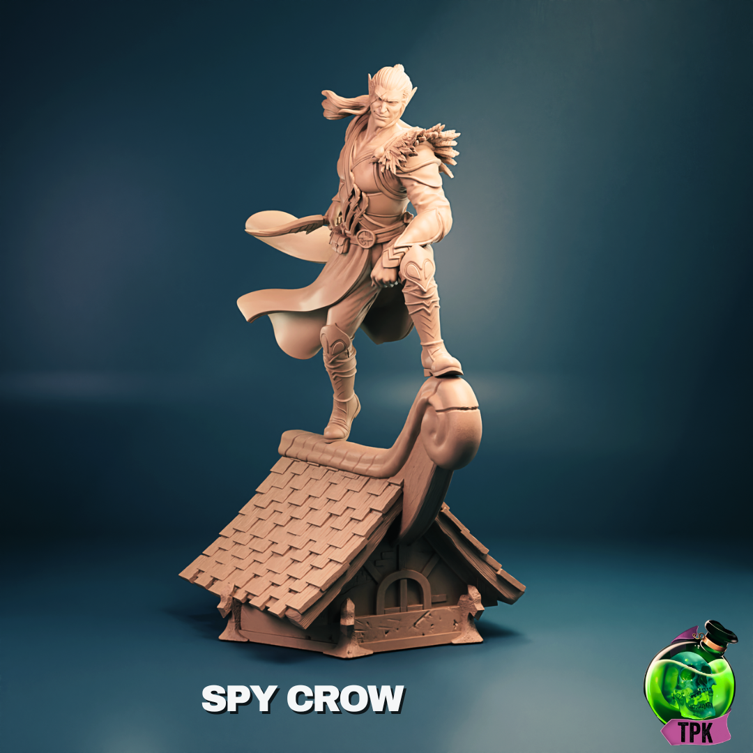 Spy Crow