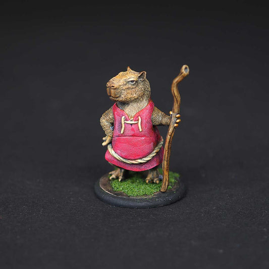 Monk capybara