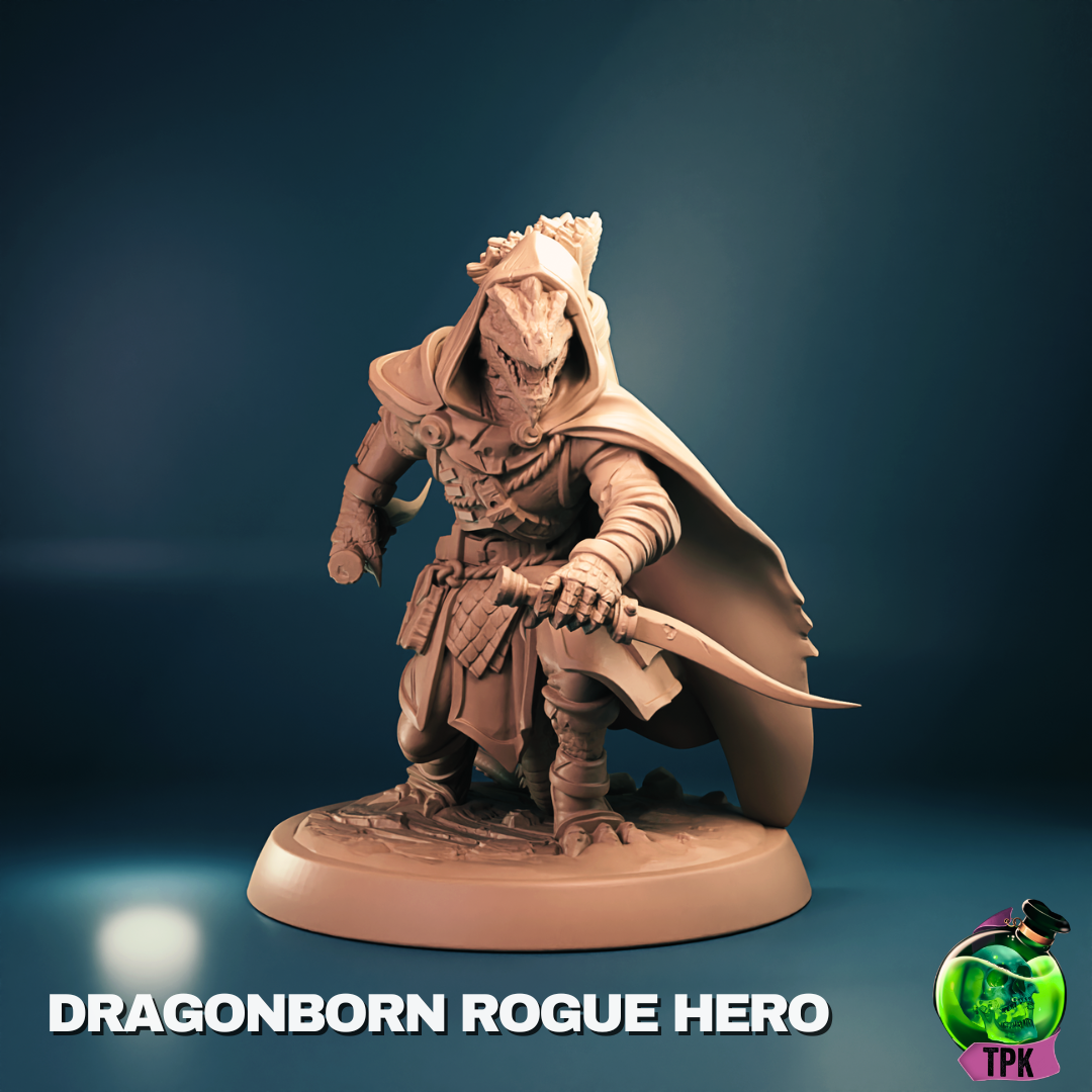 Dragonborn Rogue Hero