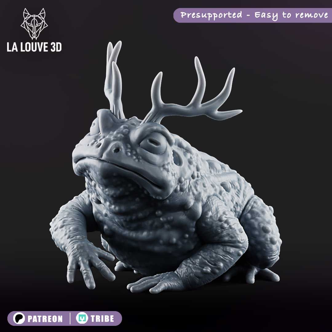 Big King toad