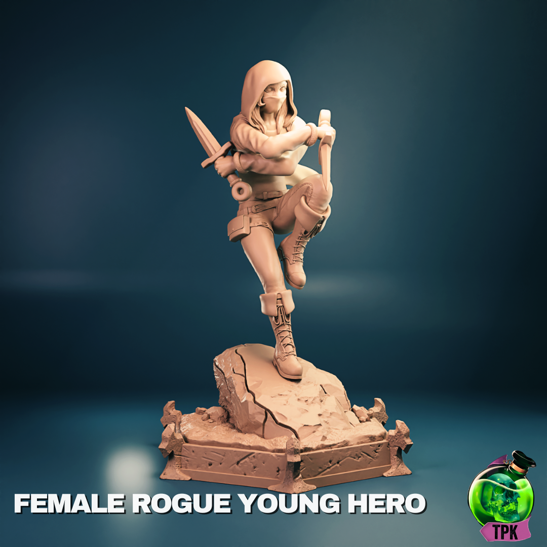 Female Rogue Young Hero (stealth)