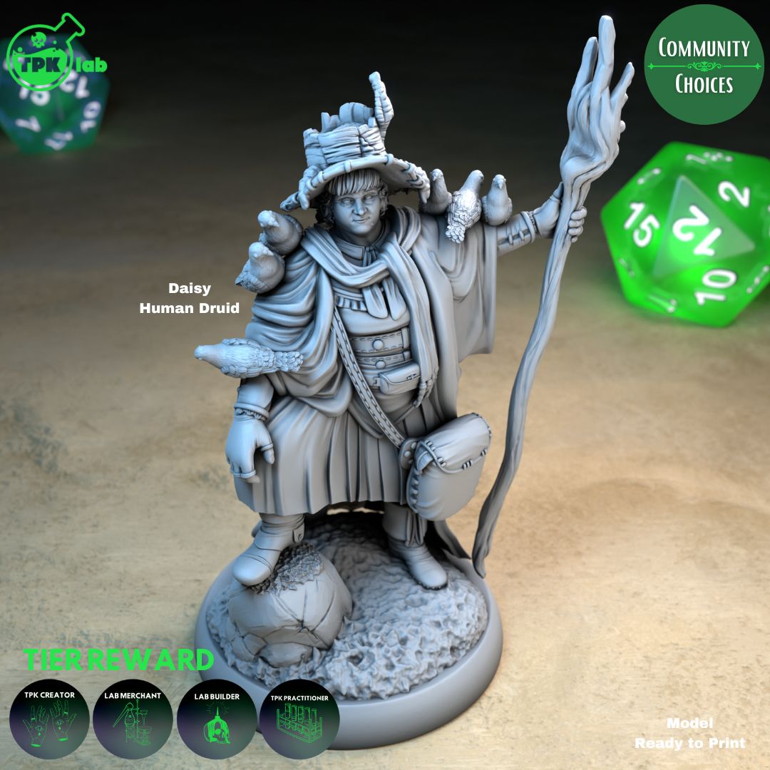 Daisy Human Druid