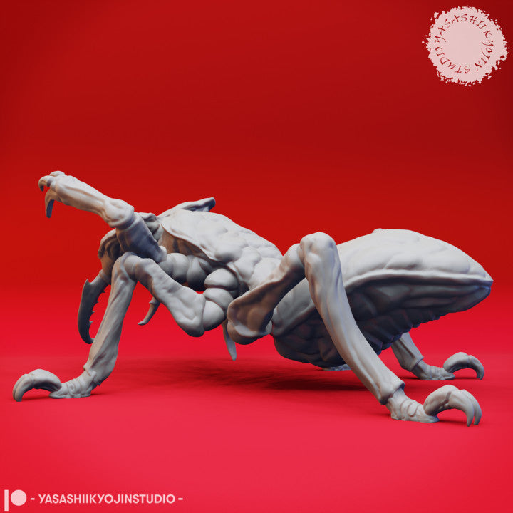 Ankheg - Crawling