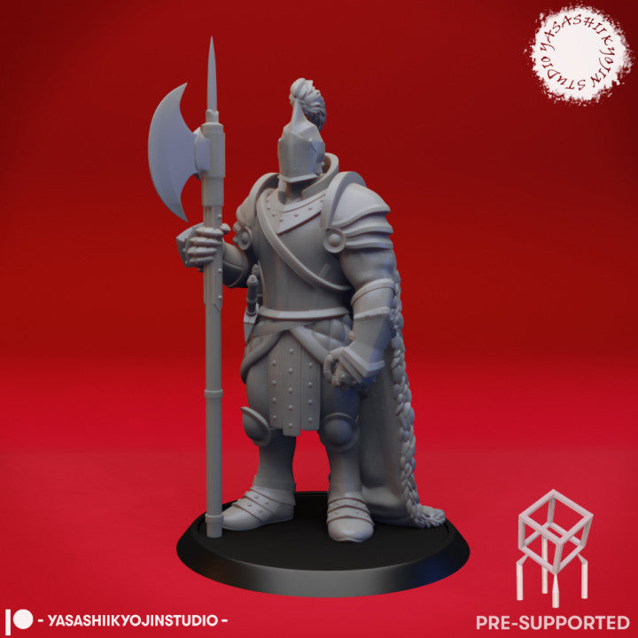 Fighter - Armored