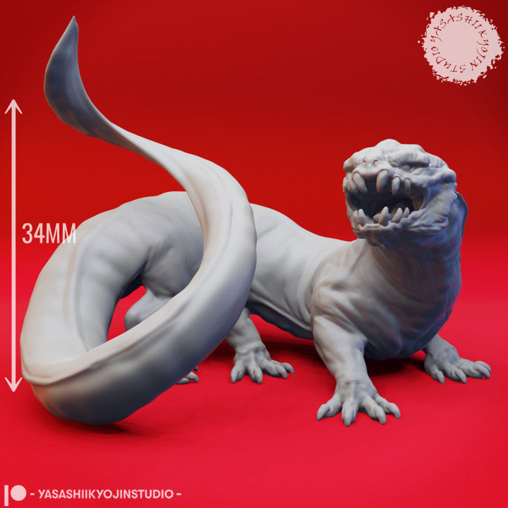 Frost Salamander