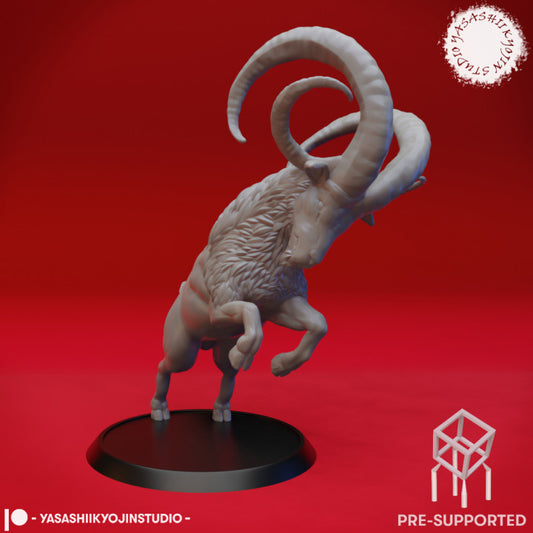 Giant Goat