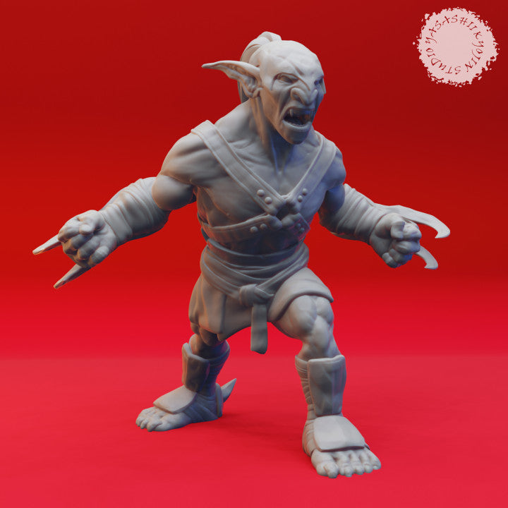 BUNDLE! Goblin Warband