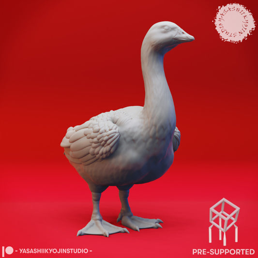 Goose