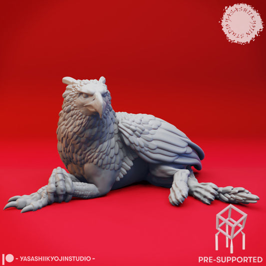 Griffin - Laying