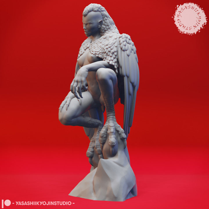 Harpy - Perched