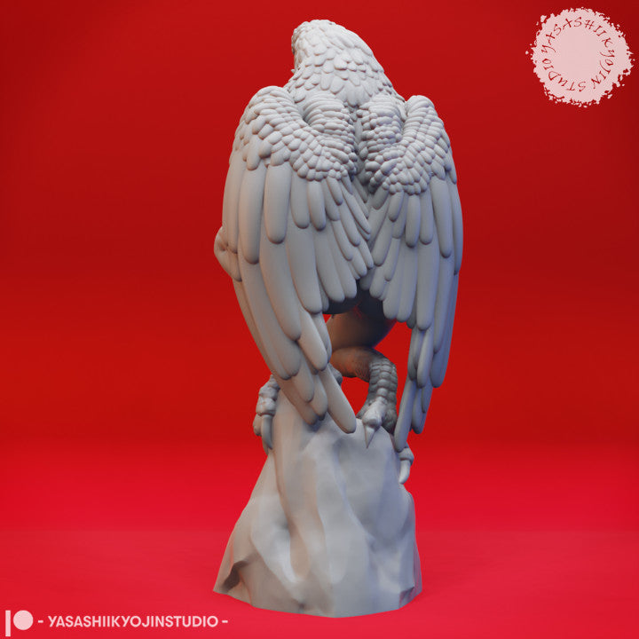 Harpy - Perched