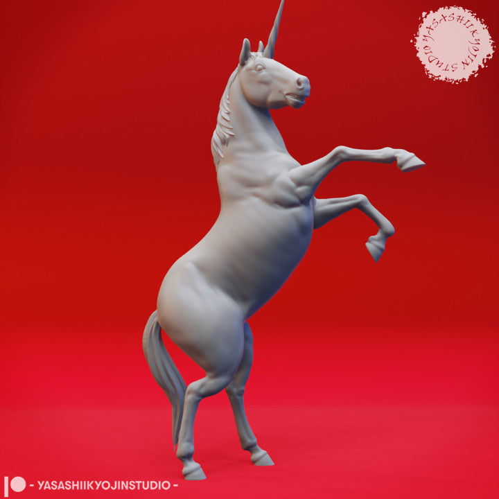 Horses and Unicorns - Props