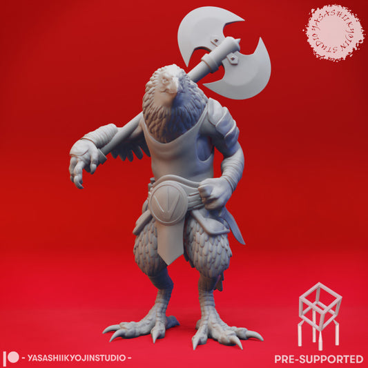 Kenku Barbarian