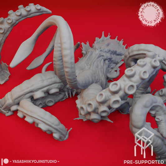 Kraken