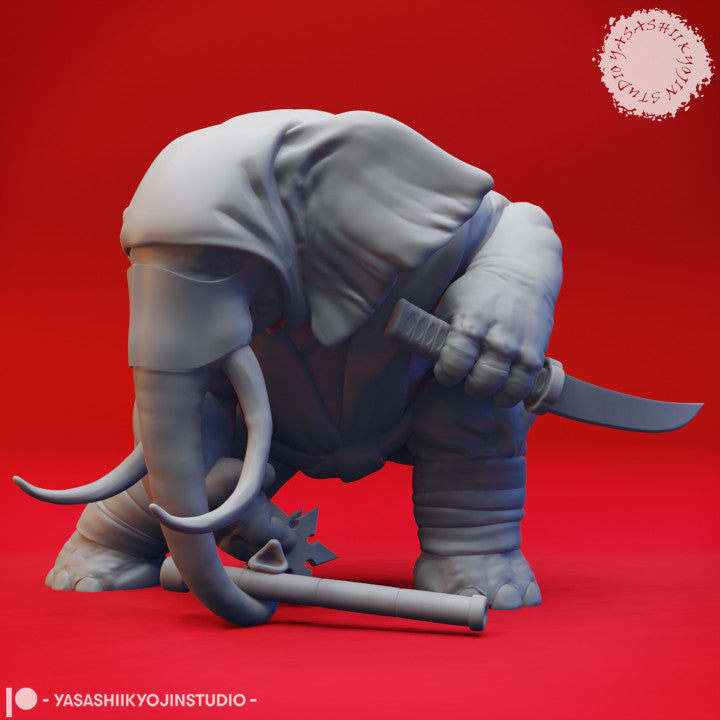 Loxodon Ninja