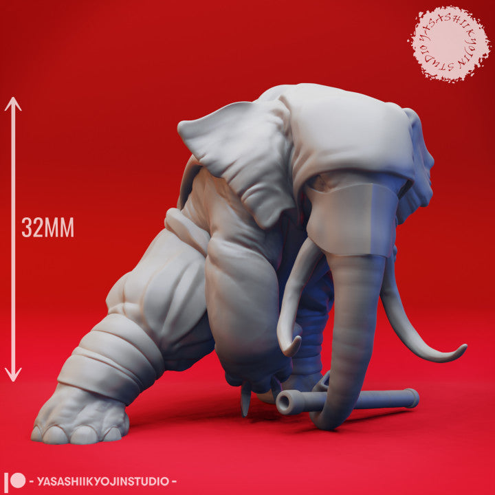 Loxodon Ninja