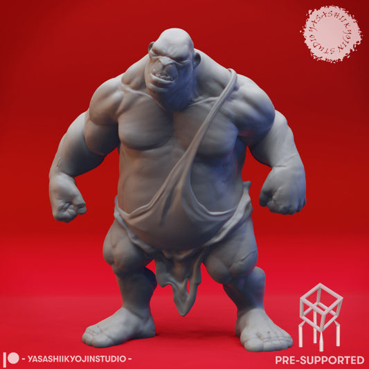 Ogre Brawler