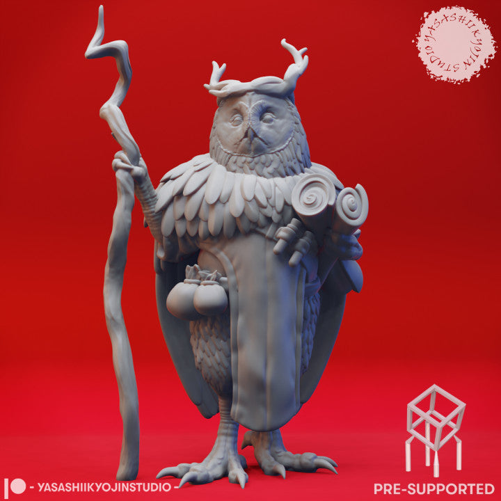 Owlin Druid