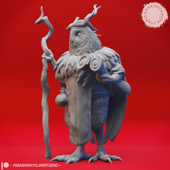 Owlin Druid
