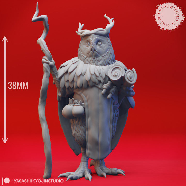 Owlin Druid