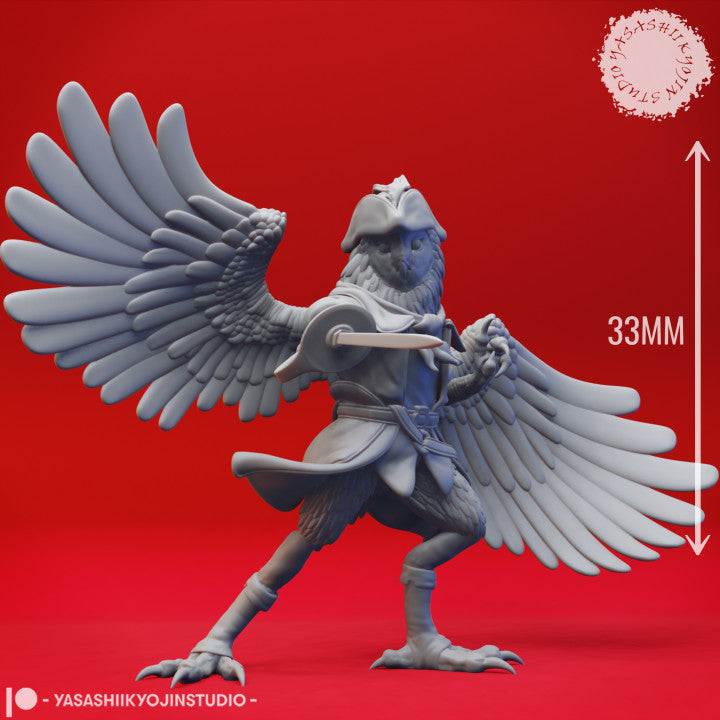 Owlin Swashbuckler
