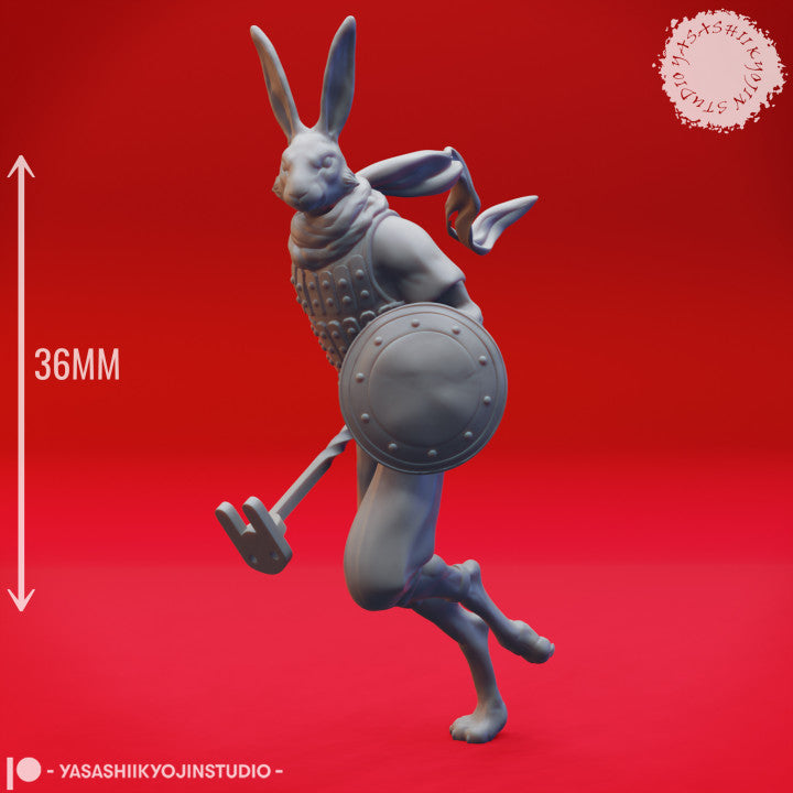Rabbitfolk Fighter