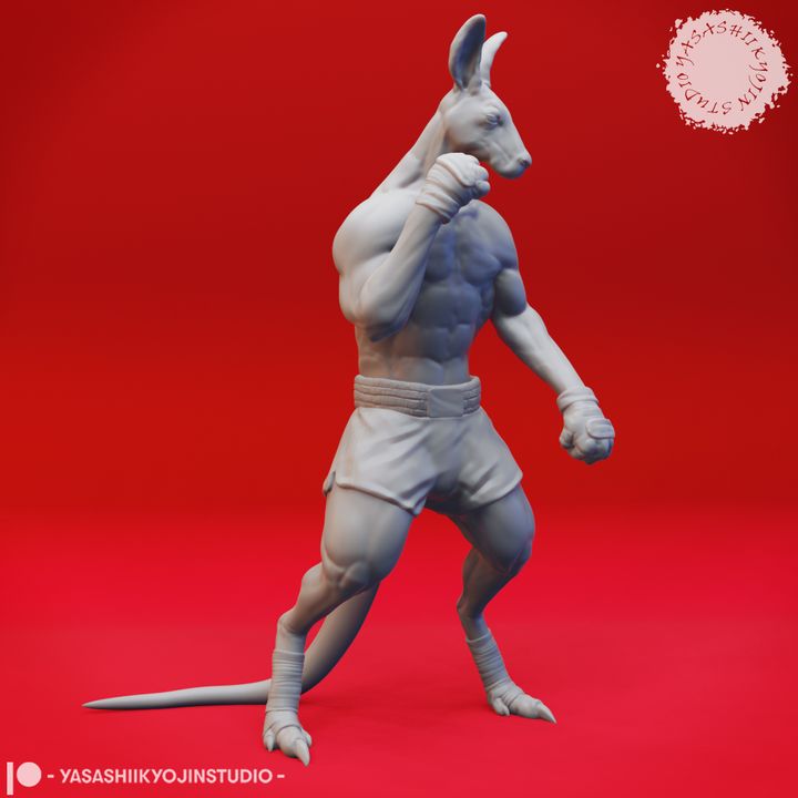 Roofolk Fighter