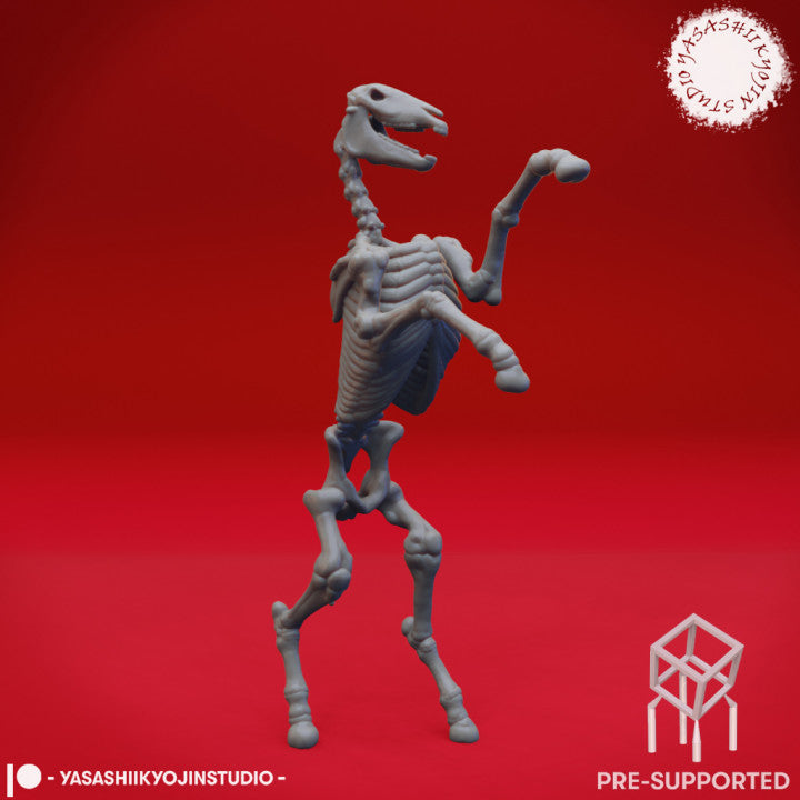 Skeleton Horse