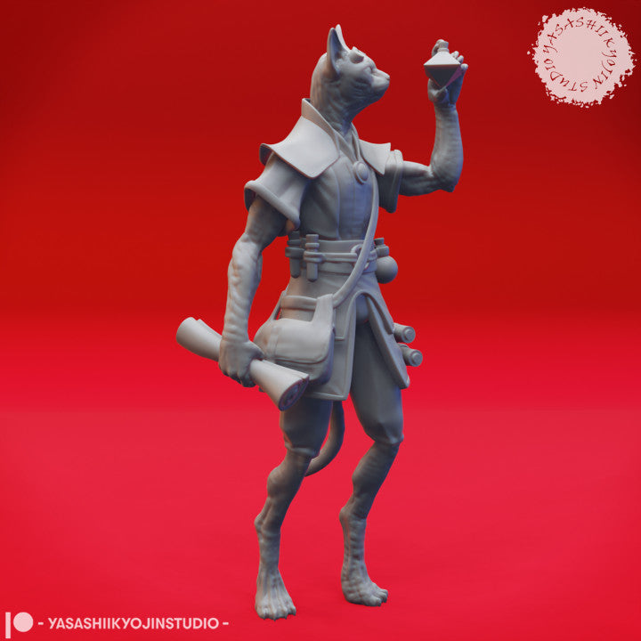 Tabaxi Artificer