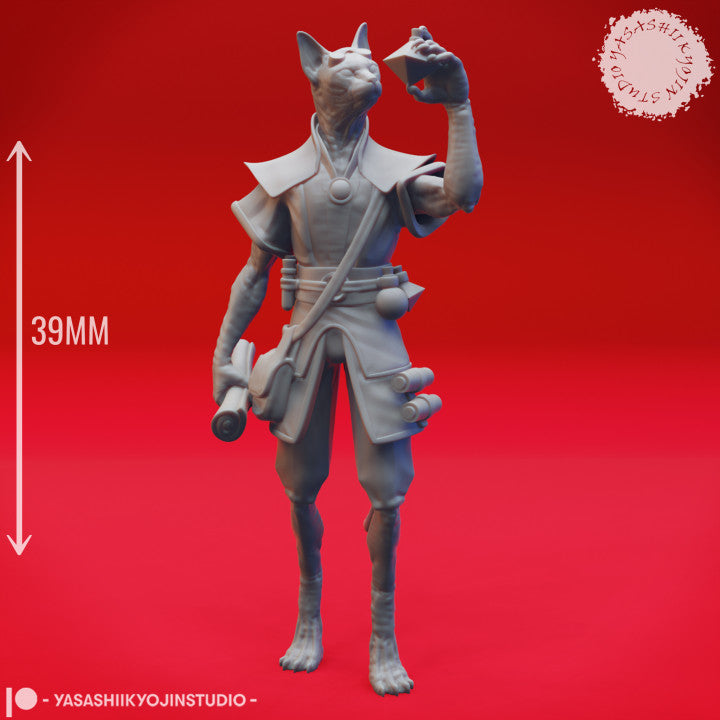 Tabaxi Artificer