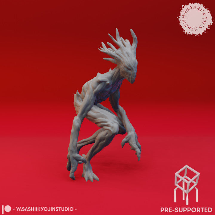 Twig Blight - Creeping