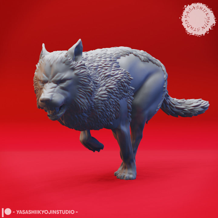Wolf