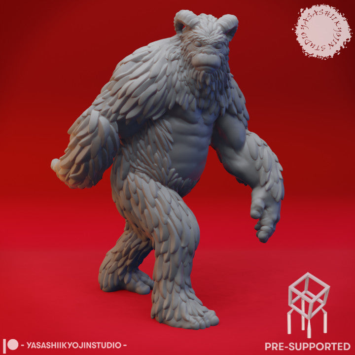 Yeti