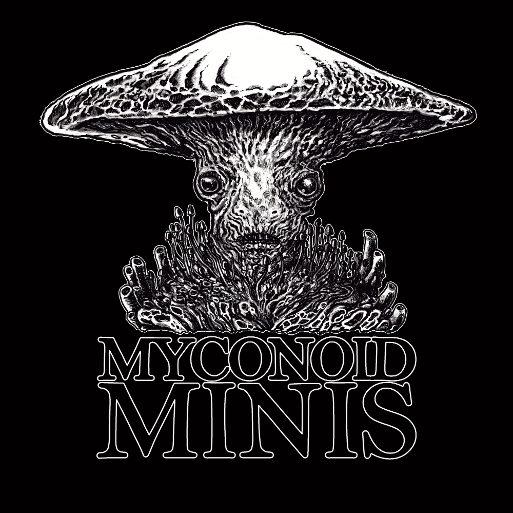 All Minis! Everything! So Many Things!