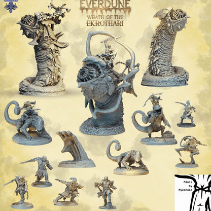 Everdune Collection