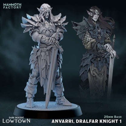 Anvarri Dralfar Knight - Paladin Fighter