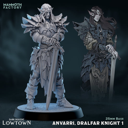 Anvarri Dralfar Knight - Paladin Fighter