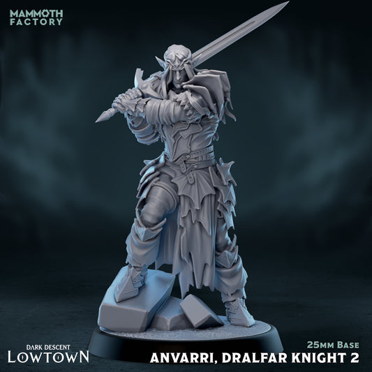 Anvarri Dralfar Knight - Paladin Fighter
