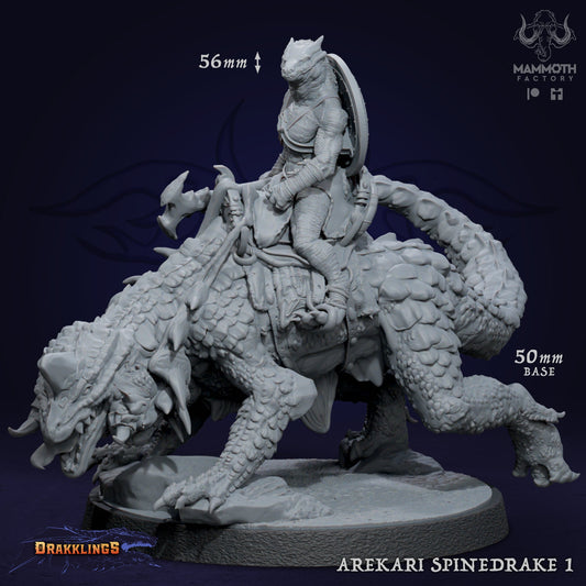 Arekari Spinedrake - Kobold Riders